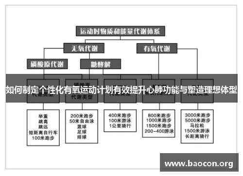 如何制定个性化有氧运动计划有效提升心肺功能与塑造理想体型