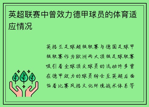 英超联赛中曾效力德甲球员的体育适应情况