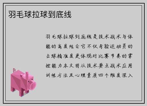 羽毛球拉球到底线